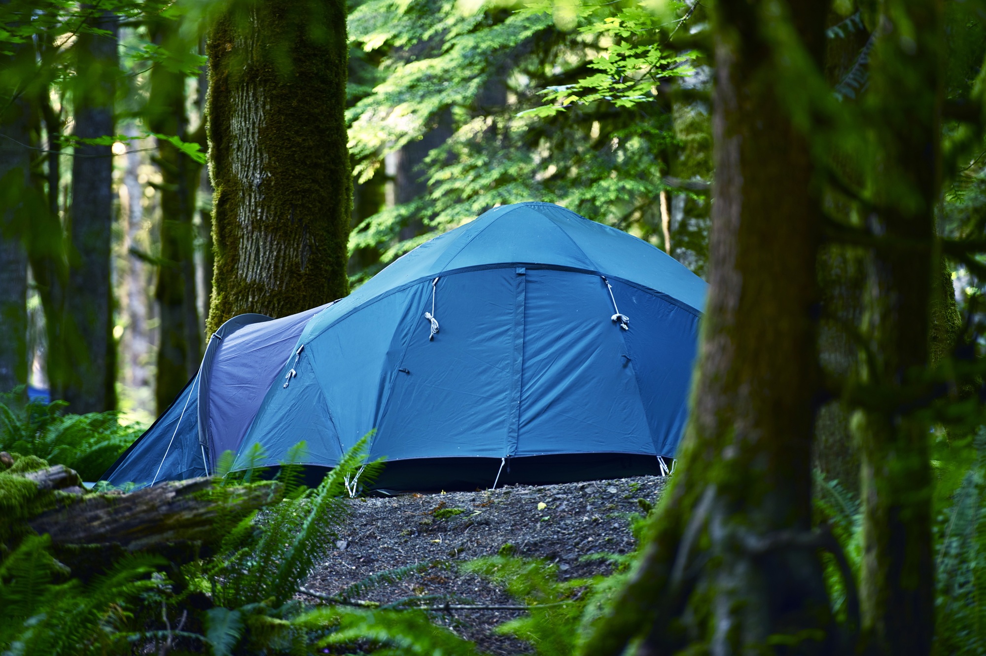 tent-camping.jpg